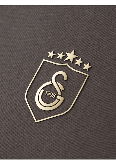 Gsstore Galatasaray 5 Yıldız T-shirt E251393 Antrasit