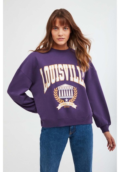 ETHIQUET RA ONA Kadın Oversize Yumuşacık İçi Polarlı Organik Pamuklu Baskılı Yuvarlak Yakalı or Sweatshirt