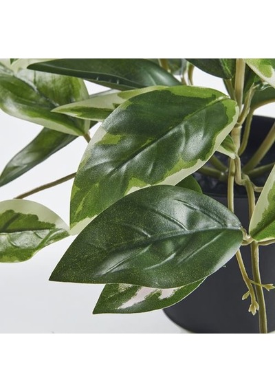 Ikea Fejka Yapay Bitki, Yeşil, 9 Cm, İç/dış Mekan Balmumu Bitki