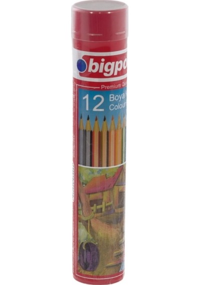 Bigpoint Bp941-12 Metal Tüpde Kuru Boya Kalemi 12 Renk