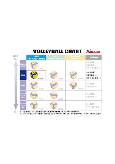 Micasa Üniseks Yetişkin Voleybol Topu Mavi