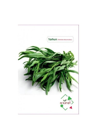 Tarhun Tohumu 50 Adet N11407