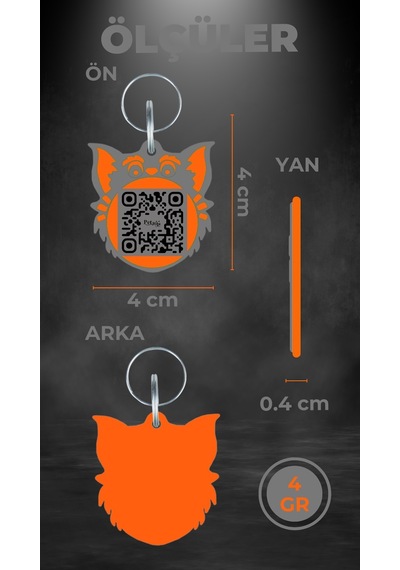 Petjoo 2.Nyan Cat Turuncu-Gri Qr'lı Kedi Künyesi