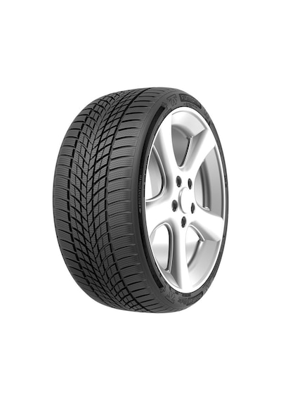 Funtoma 205/65R15 94T Roadfun Winter Kış Lastiği 2024