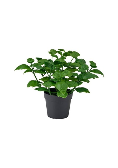 Ikea Fejka Yapay Bitki, Yeşil, 9 Cm, İç/dış Mekan Fesleğen