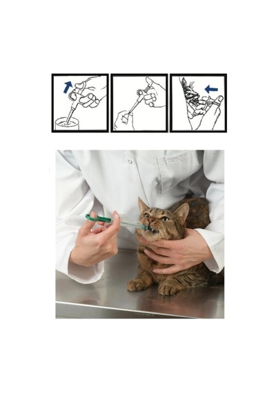 Kedi Köpek İlaç Yutturma Aparatı