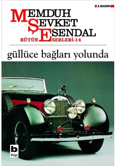 Güllüce Bağları   Yolunda