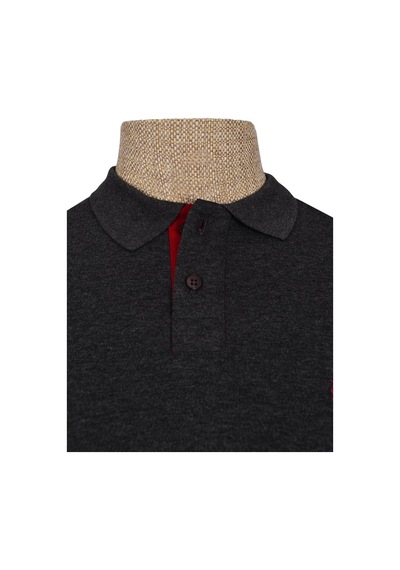 Cengiz İnler Polo Yaka Düz T-Shirt Slim (548479043)