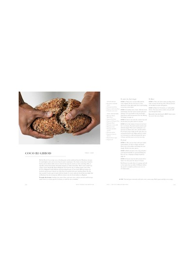 New World Sourdough: Artisan Techniques For Creative Homemade Fermented Breads With Recipes For Birote, Bagels, Pan De Coco, Beignets, And