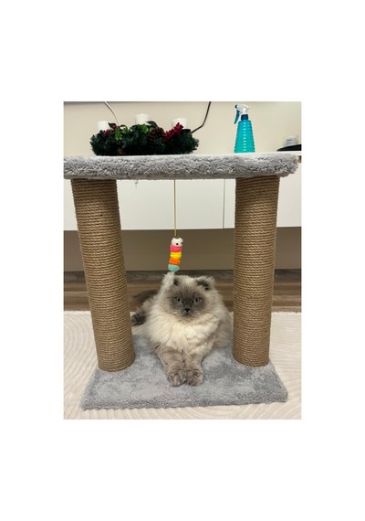 Kedi Tırmalama -kedi Oyun Alanı-peluş Kumaş Kaplı Kedi Yatağı Gri