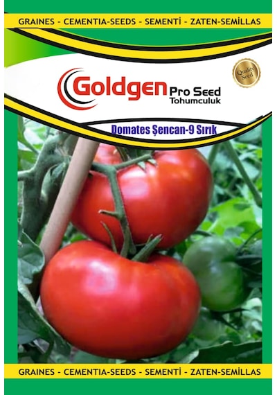 Goldgen Şencan-5 Sırık Domates Tohumu 1 Paket