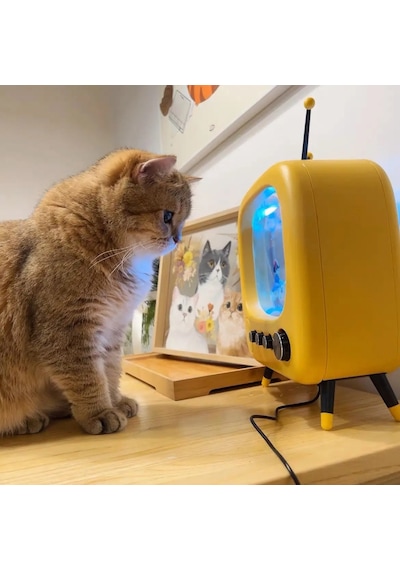 Techtic Tv Şekilli Işıklı Mini Akvaryum Beta Balık Tankı Led