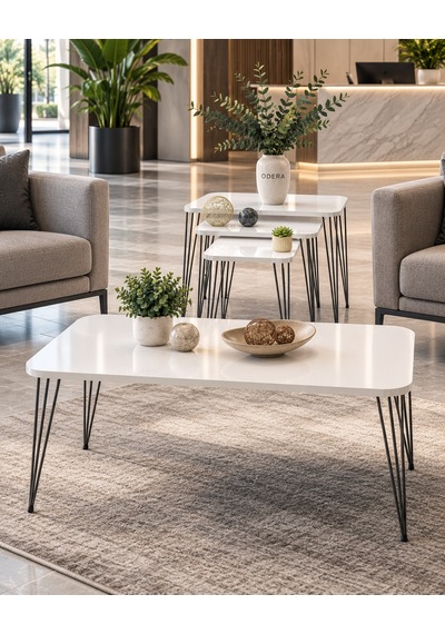 Odera Beyaz Siyah Ayaklı Orta Sehpa Ve Zigon Sehpa 4'lü Set Metal Tel Ayaklı Modern Salon Sehpası Diğer