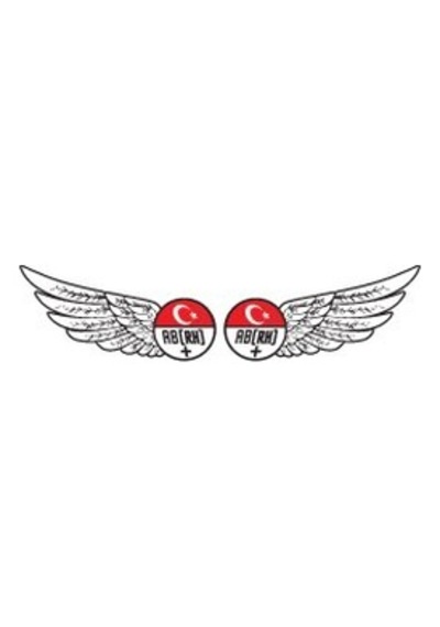 Mr.Sticker-Bt26 Reflektif Ab Rh Pozitif + Kan Grubu Etiket Seti