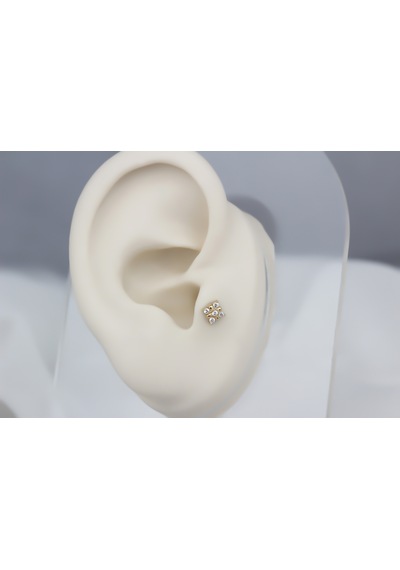 Glorria Altın Yonca Tragus Piercing Sarı