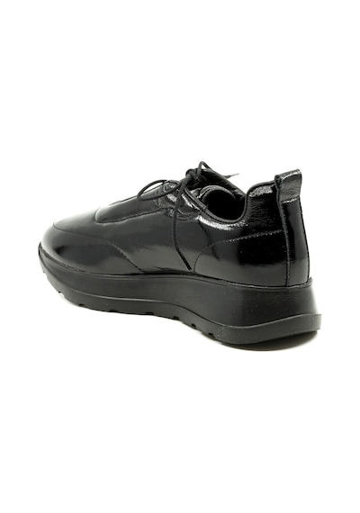 Dexter Tp2380-61 Çok Renkli