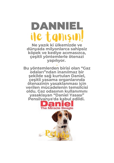 Petjoo 21.Danniel Sarı-Gri Qr'lı Köpek Künyesi