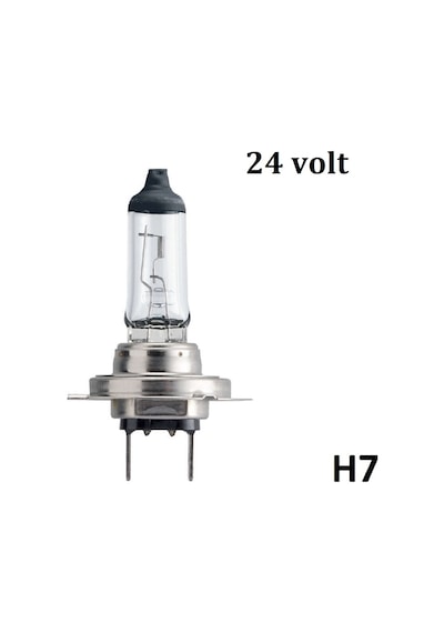 Narva 24v. H7 Ampul, Standart, No.48728, Ean. 4013790008619