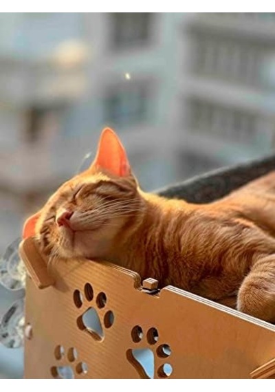 Yapışan Kedi Yatağı