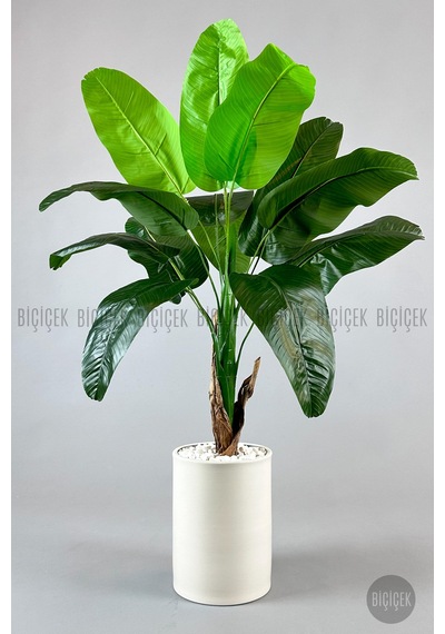 Yapay Muz Ağaci 125 Cm Krem Metal Saksıda