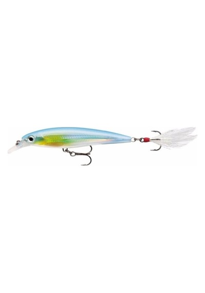 Rapala X-rap Xr10 Suni Yem 10cm 13g, Rt
