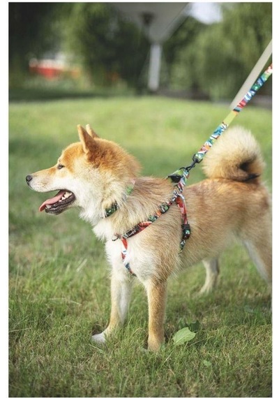 M-pets Urban Style Freestyle Köpek Göğüs Tasması L Pembe