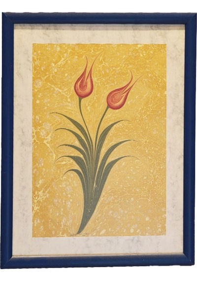 Ebru Tablo (544152161)