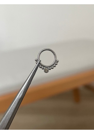 316 L Cerrahi Çelik Zirkon Taş Detaylı Halka Kıkırdak Helix Tragus Piercingi Gümüş