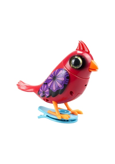 Digibirds Tekli Paket Seri 1 - Model 4