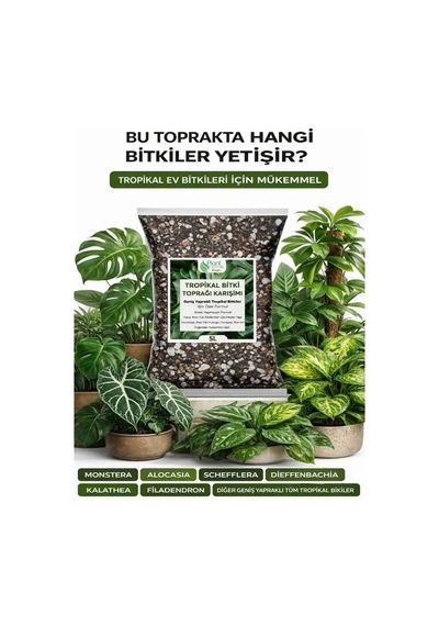 10 Litre - Tropikal Bitki Toprağı Monstera - Alocasia - Schefflera Için Sinek Yapmayan Formül 10 L
