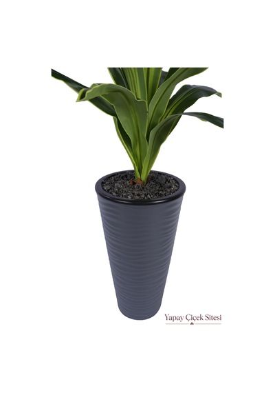 Yapay Çiçek Sitesi Dalgalı Saksıda Yapay Dracena Ağacı 130 Cm Yeşil