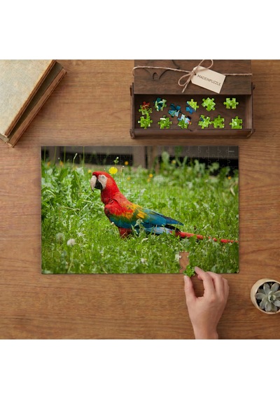 Bahçede Papağan Kuşu Tasarımı 240 Parça Ahşap Puzzle Ahşap Kutuda Mpy50087