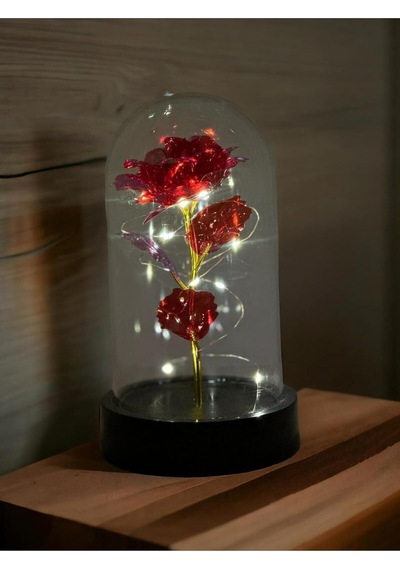 Lapidaria Fanus Içerisinde Dekoratif Peri Led Işıklı Kırmızı Solmayan Sonsuzluk Gülü Lamba Ve L