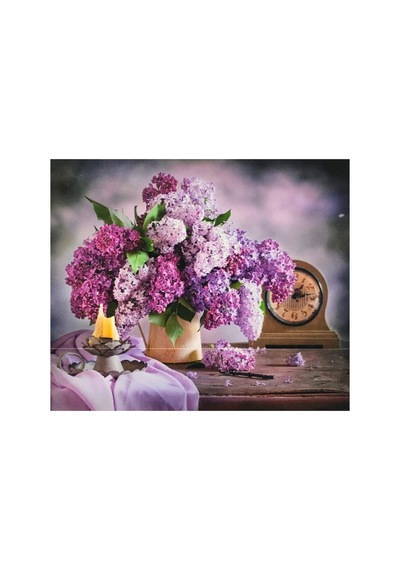 5d Elmas Boncuk Taş Işleme Mozaik Goblen Kit 50x40cm Gc80089 Diamond Painting