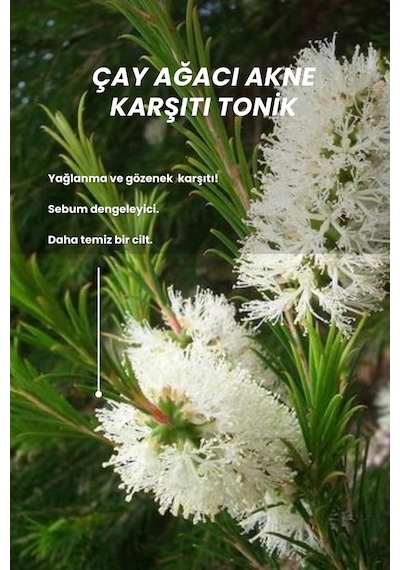 Bade Natural Çay Ağacı Akne Karşıtı Ve Gözenek Sıkılaştırıcı Tonik 100 ML