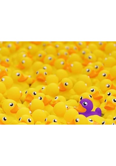 1000 Parça Puzzle Ördekler Challenge