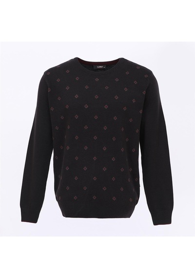 Dio Rise Erkek Uzun Kol İnce Sweatshirt - 189102 - Siyah Siyah