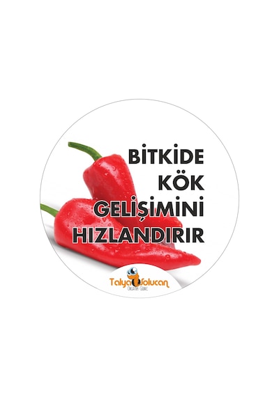 Hazır Set 5 KG Toz + 750 ML Çiçek Coşturan
