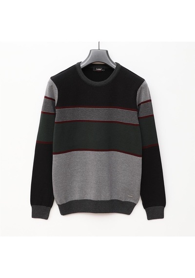 Dio Rise Erkek Uzun Kol İnce Sweatshirt - 189393 - Siyah Siyah
