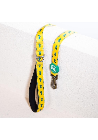 Pawstar Cactus Leash Kedi Köpek Sevk & Gezdirme Kayışı Köpek Uzatma Tasması Sarı