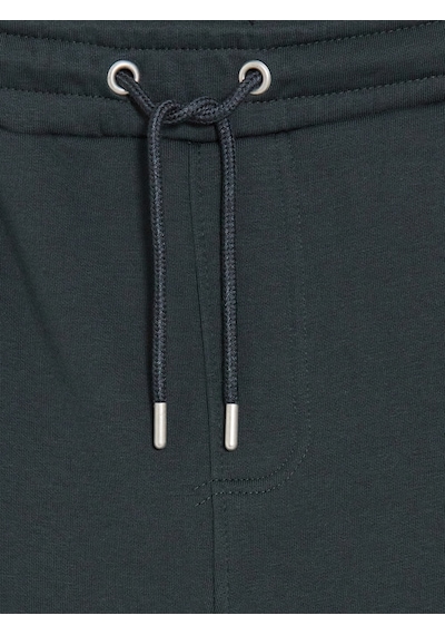 Lcwaıkıkı Classic Petrol Regular Fit Erkek Jogger Eşofman Altı