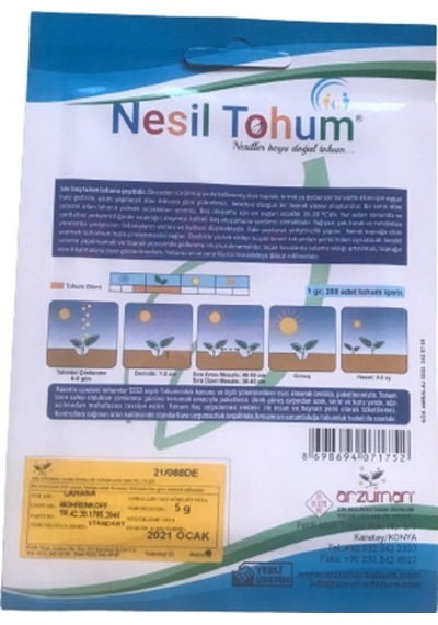 Kırmızı Lahana Atalık Tohumu 3 Paket