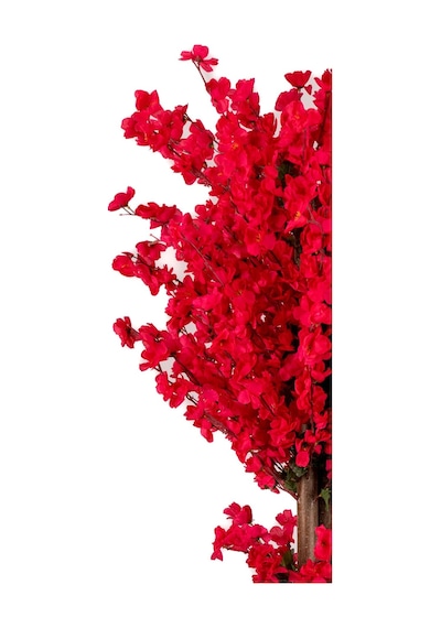 Yapay Çiçekçiniz Ahşap Saksıda 160 Cm Yapay Bahardalı Ağacı