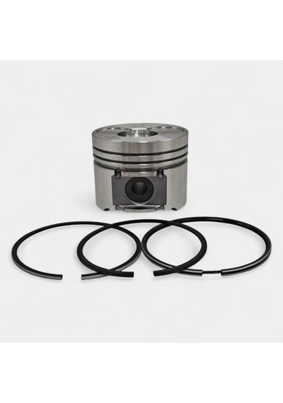 Piston + Segman Seti Std : Hatz / 1d41