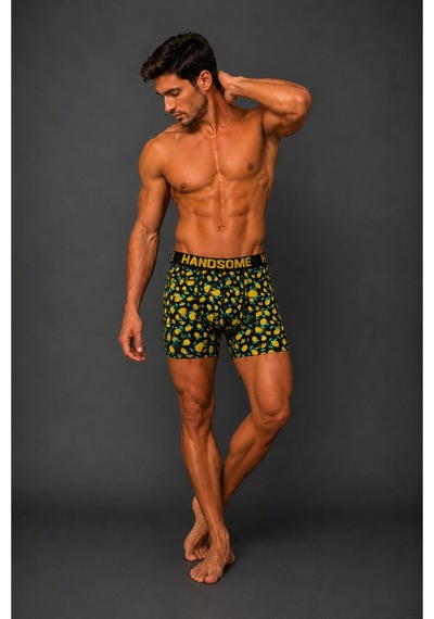 Brem Handsome Limon Desenli Erkek Boxer Çok Renkli