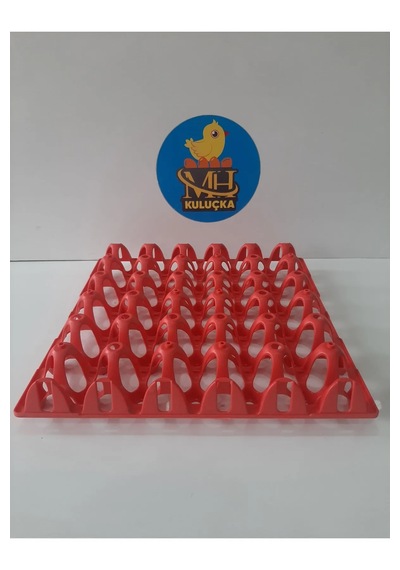 Plastik Yumurta Viyolü 30 Yumurta 4 Adet