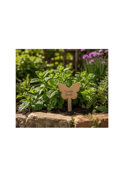 Arliadesign Kişiye Özel Ahşap Bitki Etiketi 10'lu Set / Kelebek Şekilli 3 Mm Ham Mdf Saksı Mini Bahçe Etiketi