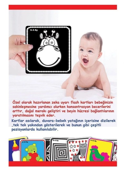 Dıytoy Bebeğimin Ilk Zeka Kartları Flash Card 1369
