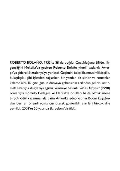 Vahşi Hafiyeler - Gizemli Ve Gerilim Dolu Hikaye