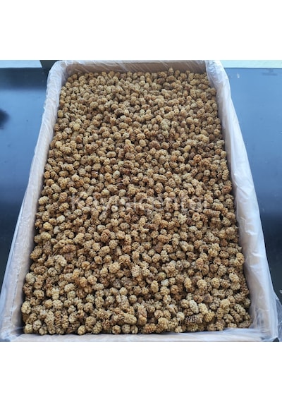 Toptan Özel Beyaz Dut Kurusu 11.5 Kg Diğer